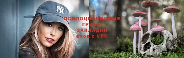 СК Беломорск