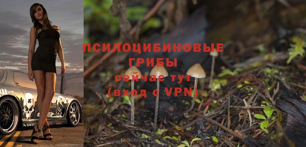прущий лед Белоозёрский