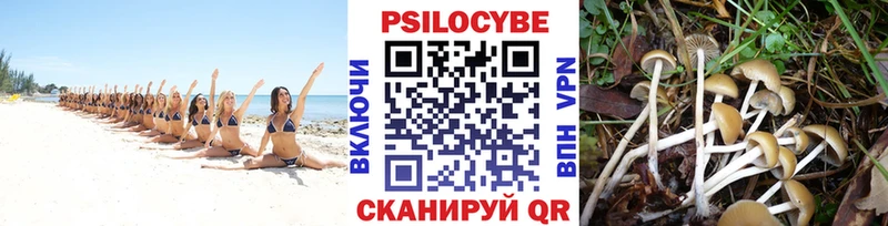 Псилоцибиновые грибы Magic Shrooms  наркошоп  Кузнецк 