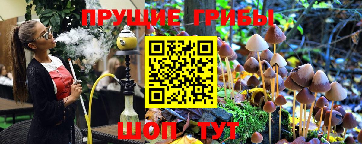 как найти закладки  Псилоцибиновые грибы GOLDEN TEACHER  Вход с VPN  Кузнецк 