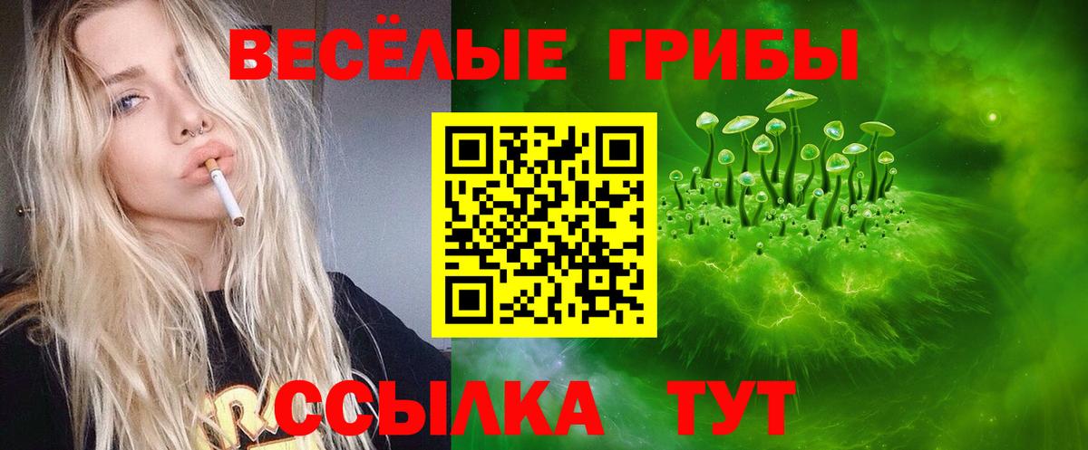 Псилоцибиновые грибы мицелий Кузнецк