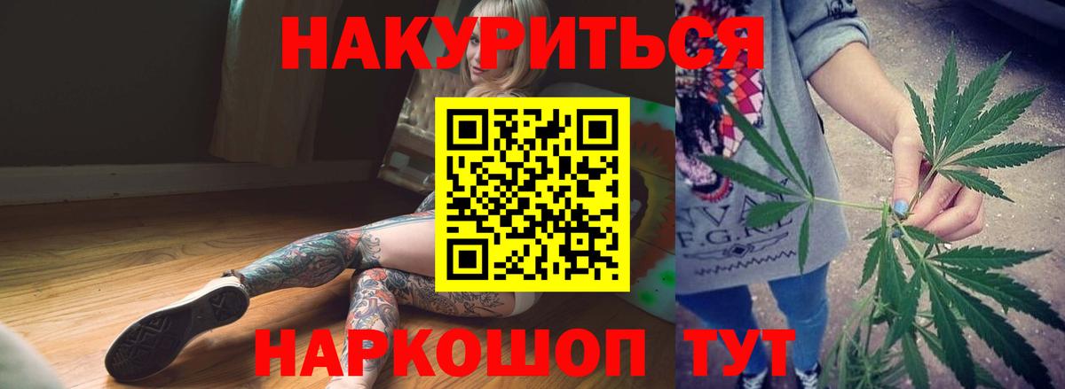 Каннабис сатива Кузнецк
